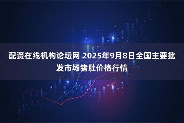 配资在线机构论坛网 2025年9月8日全国主要批发市场猪肚价格行情